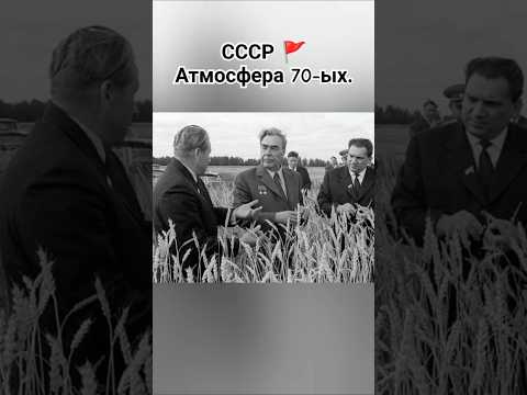 Назад в СССР. 1970-ые. #ссср #ностальгия #советский #прошлое #шортс #ютуб #хочуврек