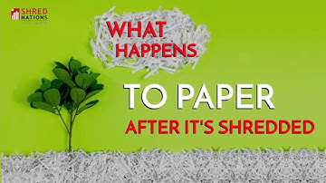 What Happens to Paper After It