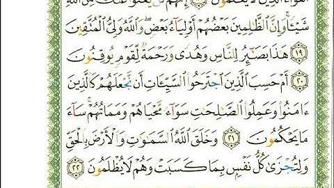 ماهر المعيقلي سورة الجاثية المصحف الملون المرمز المصحف مكتوب 45