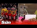 Viral:  An unexpected guest seen crawling across flowers on The Queen's coffin during the funeral