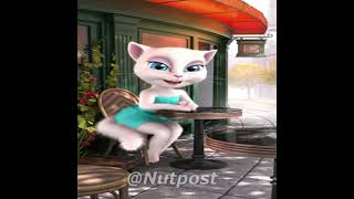 Talking Tom Is Broke Boi What The Hell Boi Meme