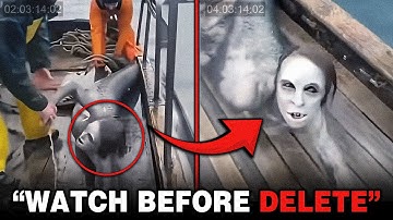 Unbelievable Mermaid Encounters Deep in the Ocean Caught on Camera! That Scientists Can’t Explain