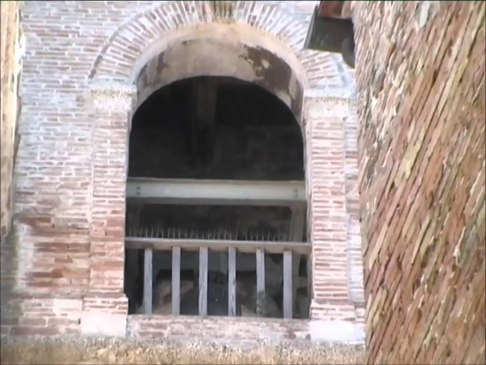 Cerreto D'Esi (AN) Collegiata S.Maria Assunta (02) v.529