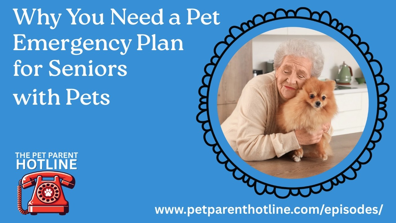 Why You Need a Pet Emergency Plan for Seniors with Pets Why You Need a Pet Emergency Plan for Seniors with Pets