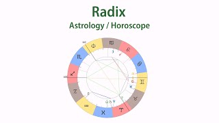 RadixPromo screenshot 5