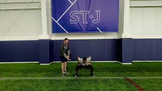 At Home Baseball Skills - Fielding & Defense Part 2