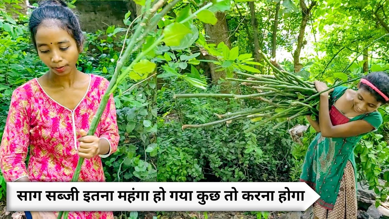 साग सब्जी इतना महंगा हो गया कुछ तो करना होगा | love couple struggle vlog | village girl Vs city girl