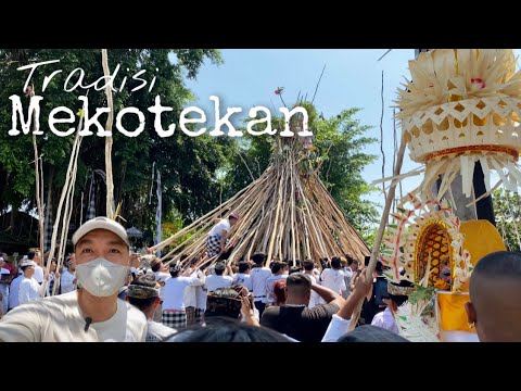 Tradisi Mekotek Bali 2023|| Desa wisata Munggu - YouTube