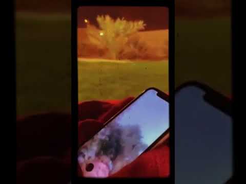 قصيدة أم توصي ولدها ممدوح 