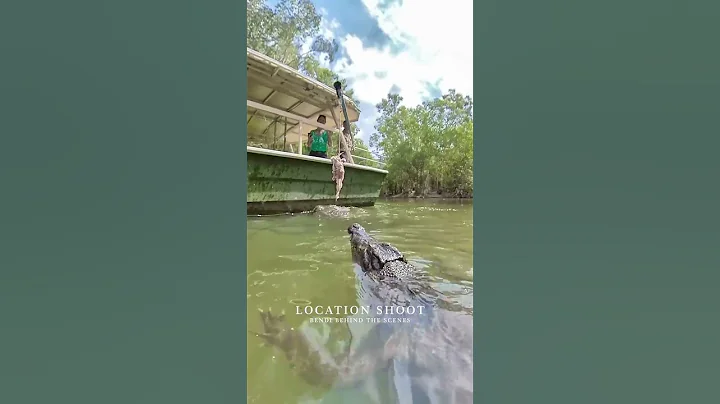 The moment when that big jumping crocodile launches - DayDayNews