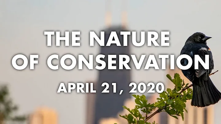 The Nature of Conservation | Webinar