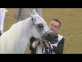 24th Qatar National Arabian Horse Show - Day 3 - Season 2021 - 2022