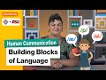 How is Language Built? | Intro to Human Communication | Study Hall