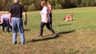2019 AHCA National Specialty - AKC Lure Coursing - Finals Open 1 by Afghan Hound Club of America 79 views 4 years ago 1 minute