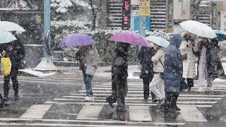 영동 7㎝ 눈 더 내린다…서울·경기·강원 한파 주의보 …