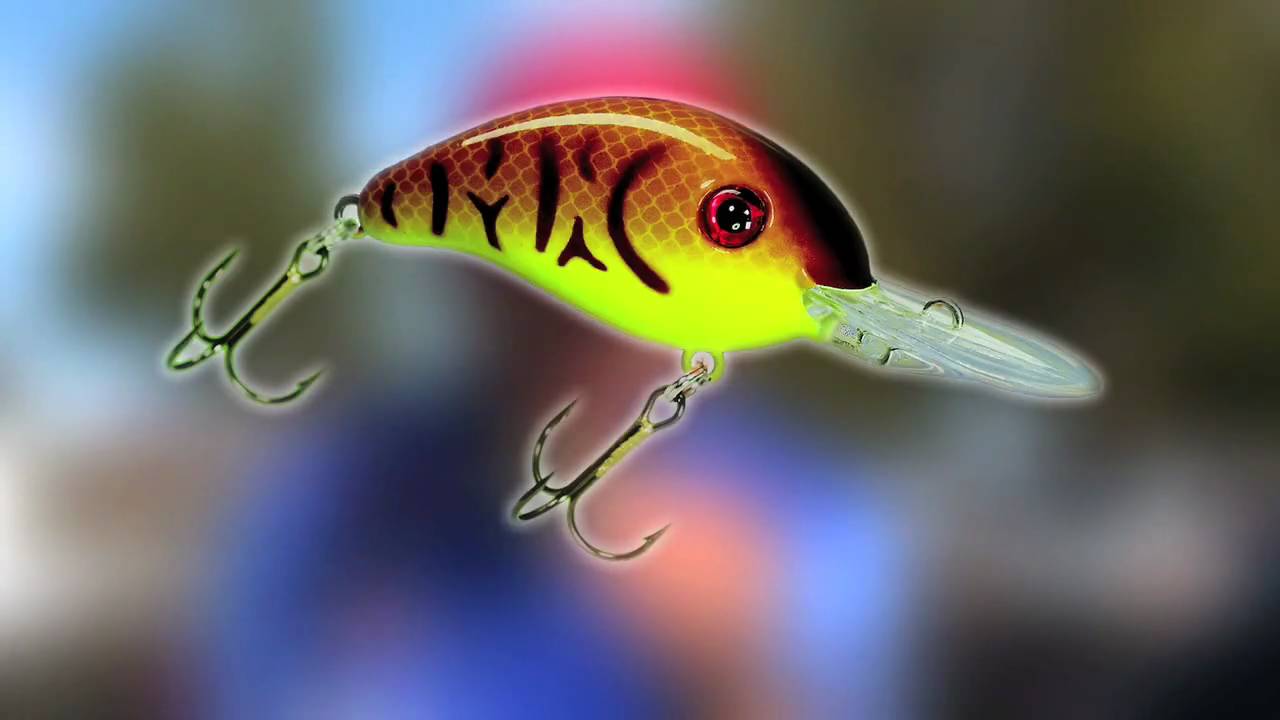 George Cochrane shallow crankbait tactics