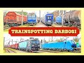 [4K] Activitate Feroviara in Gara Barbosi | Railway Activity in Galati | April 17th, 2021
