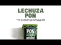 The In-Depth Lechuza Pon Guide | Easy Plant Care | Inorganic Growing