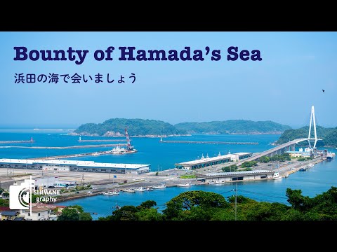 【SHIMANE graphy】Hamada Fish Market – Bounty of the Sea of Japan | 浜田の海で会いましょう