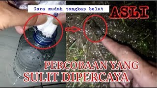 Ternyata Berhasil.. Exsperimen Mancing Belut Menggunakan Air Garam