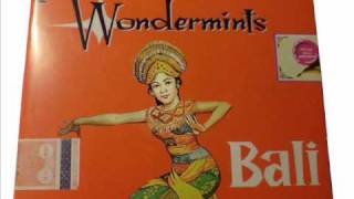 Video thumbnail of "Wondermints - Arnaldo Said"