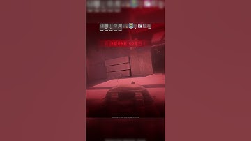 This CS2 text chat was absolutely unhinged 💀