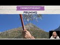 Pruning  janice allen kalamazoo realtor jaqua realtors  michiganhomegirlcom