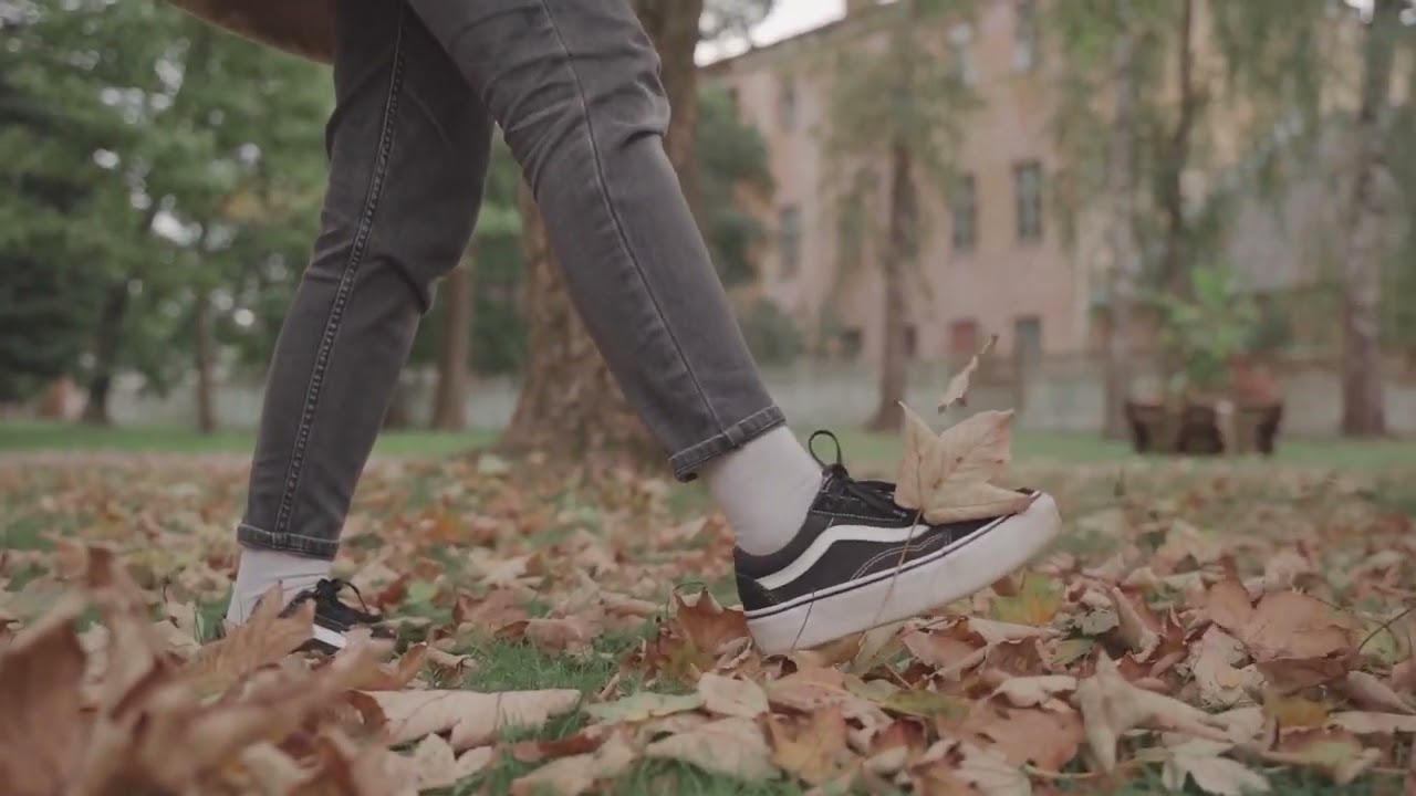 6HOURS of Sound of dry leaves | walking on dry leaves