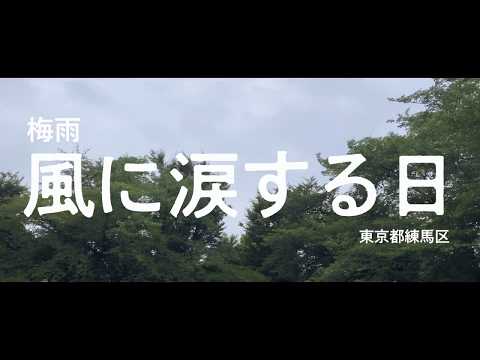 6月22日、風に涙する日（モフモフが必要）