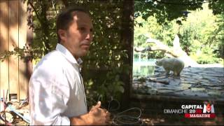 capital dimanche 20h55 M6 15 4 2015 futoroscope