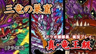 【ドラポ部】三竜の巣窟/真・竜王級　ドラポ部部長、実況プレイ