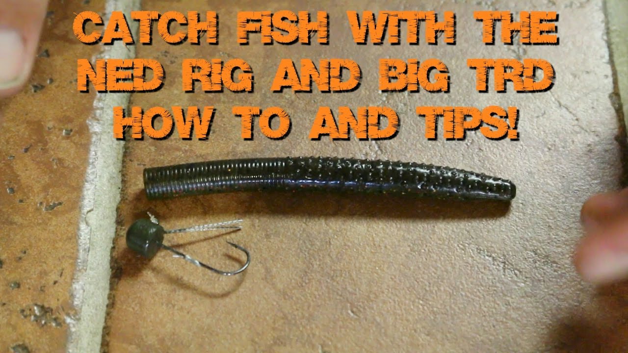 Fishing a Ned Rig with a TRD for Bass | Fishing Tip Ned Rig - YouTube