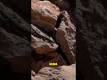 These Rocks Move By Themselves 😳