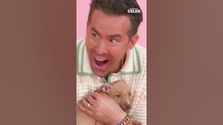 Did someone say Marvel superheroes and PUPPIES?! 🦸‍♂️🐶 Full video drops tomorrow!