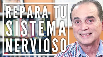 ¿Cuánto tarda en curarse el sistema nervioso?