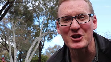 Learn Angular 2 in 21 Days: Day 5 ngFor, ngIf, Pipes and Avatars