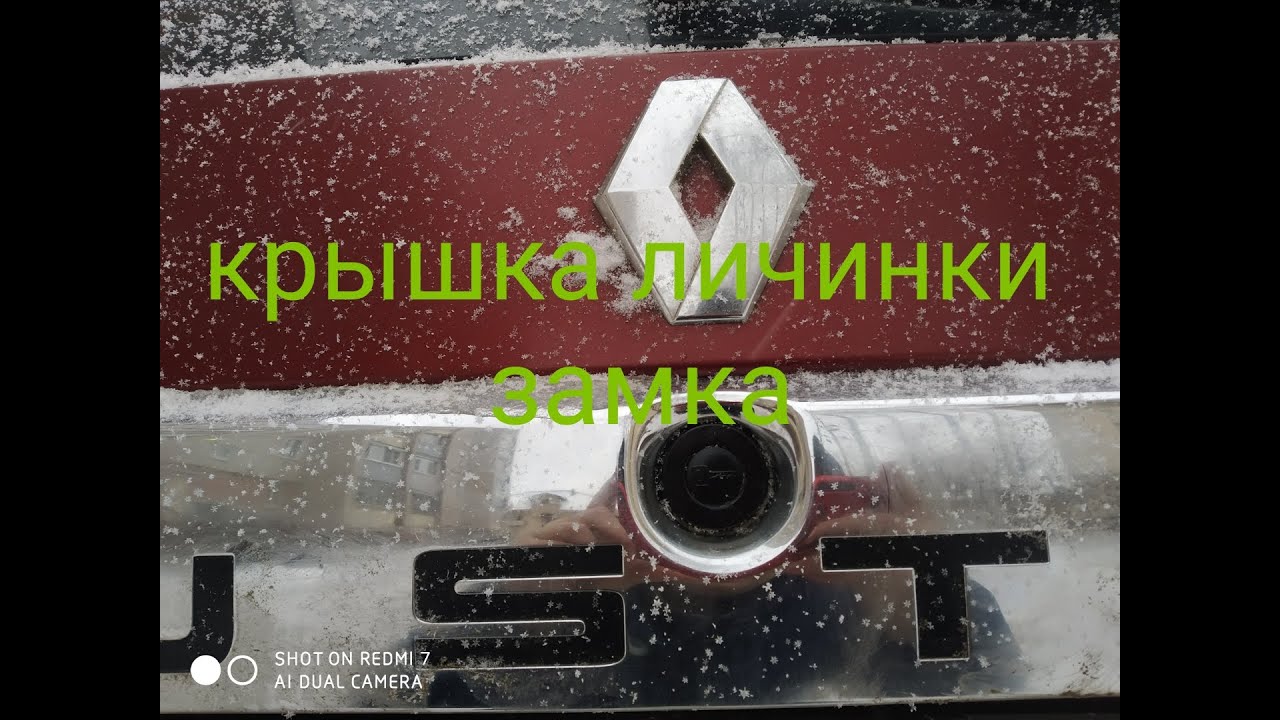 Личинка замка логан