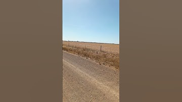 Thumbnail of THIS IS MY AUSTRALIA ❤️ #dailydrive