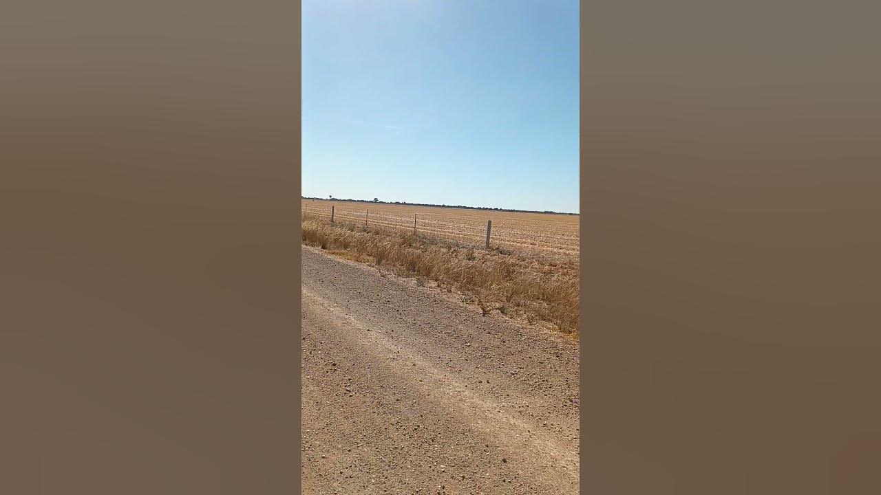 THIS IS MY AUSTRALIA ❤️ #dailydrive