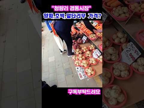 "청량리경동시장" 양파.호박,가지,알타리무 가격은 얼민?