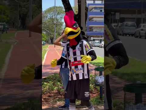 Grêmio - Galo desfila no centro de Maringá