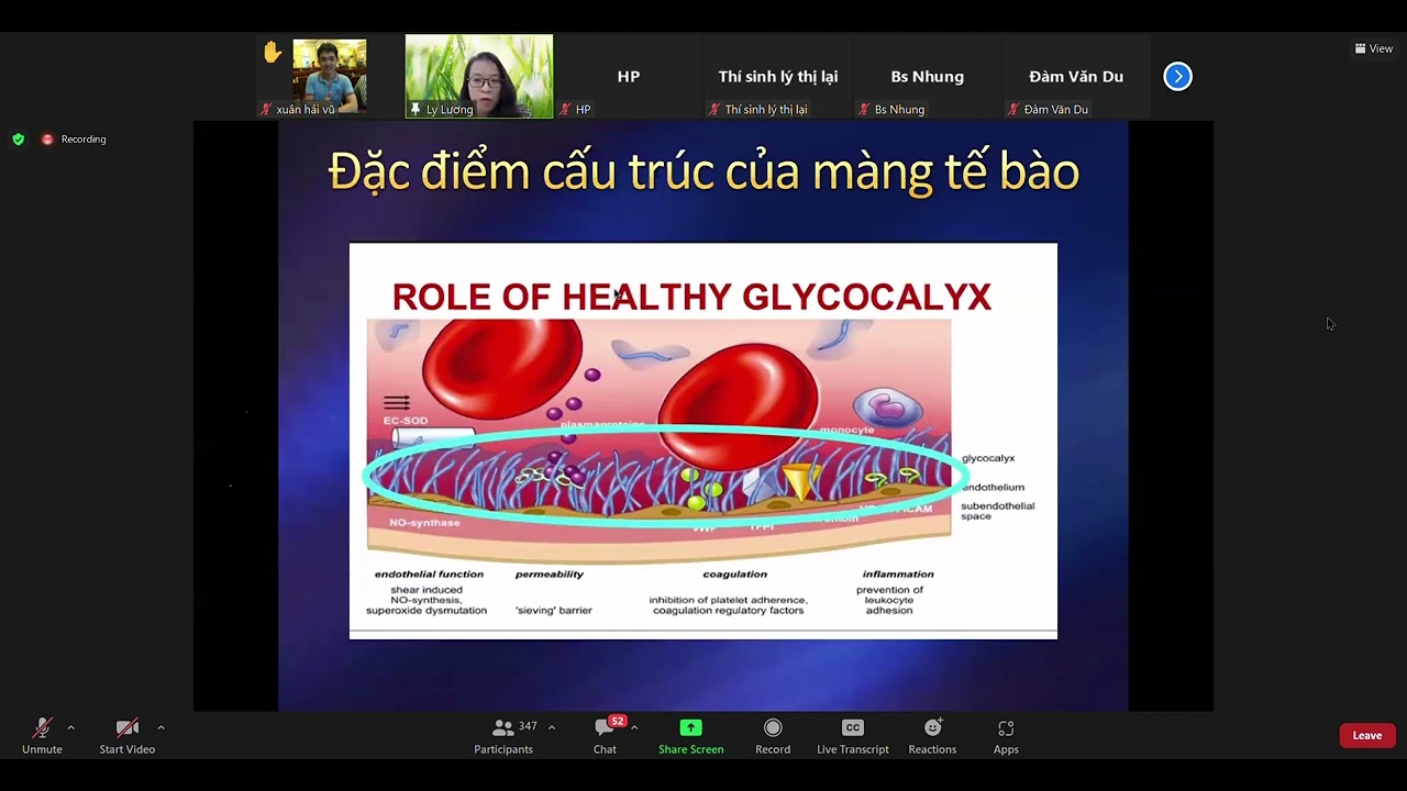 [Sau đại học YHN 2022] Sinh lý buổi 1: Sinh lý màng tế bào; Chuyển hoá chất