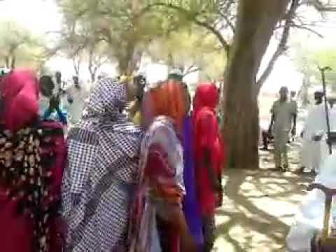 تراس بني هلبه شرق دارفور مدينه الدار فرسان ولايه نيالا