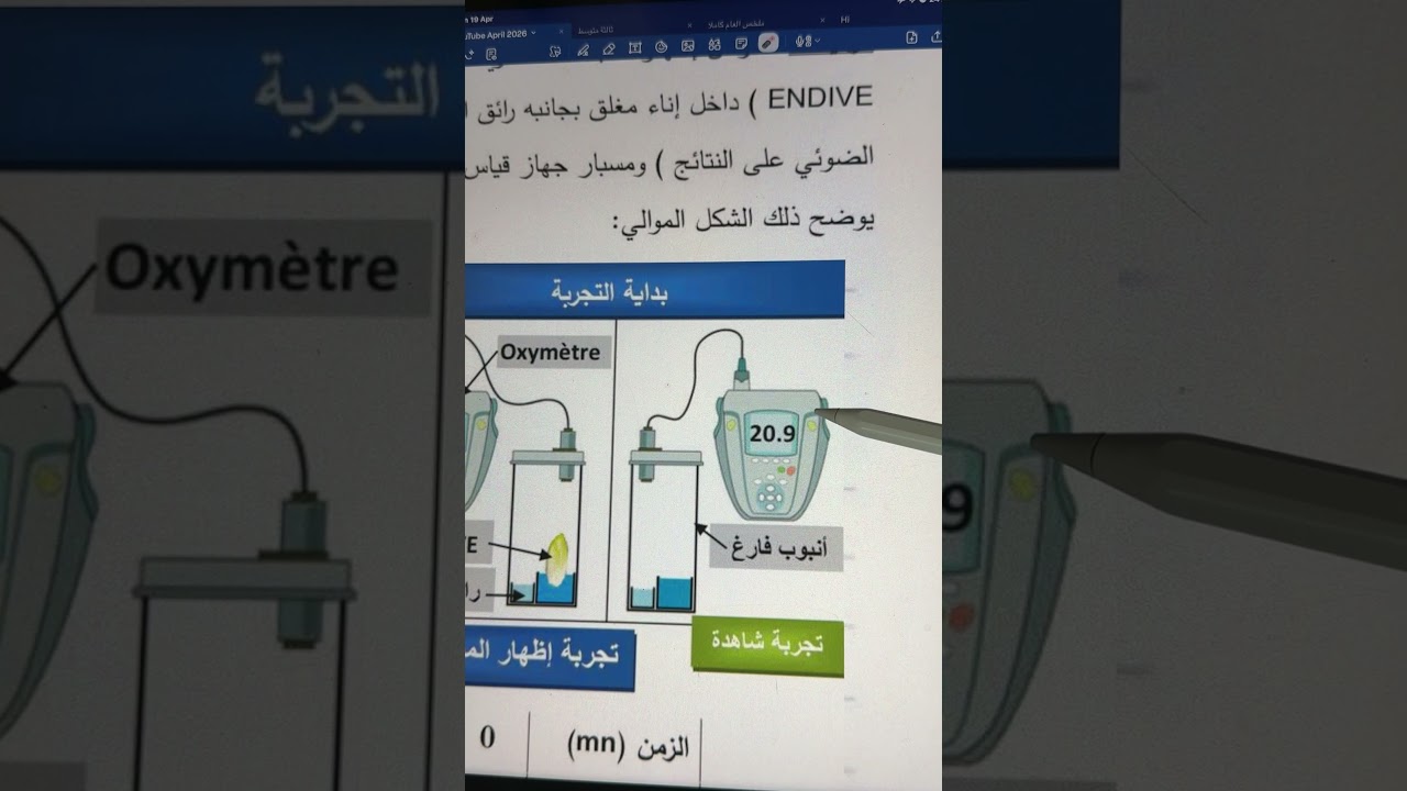 اولى متوسط 🤩تيتشر صبرين 🏆المبادلات الغازية التنفسية عند النبات الأخضر
