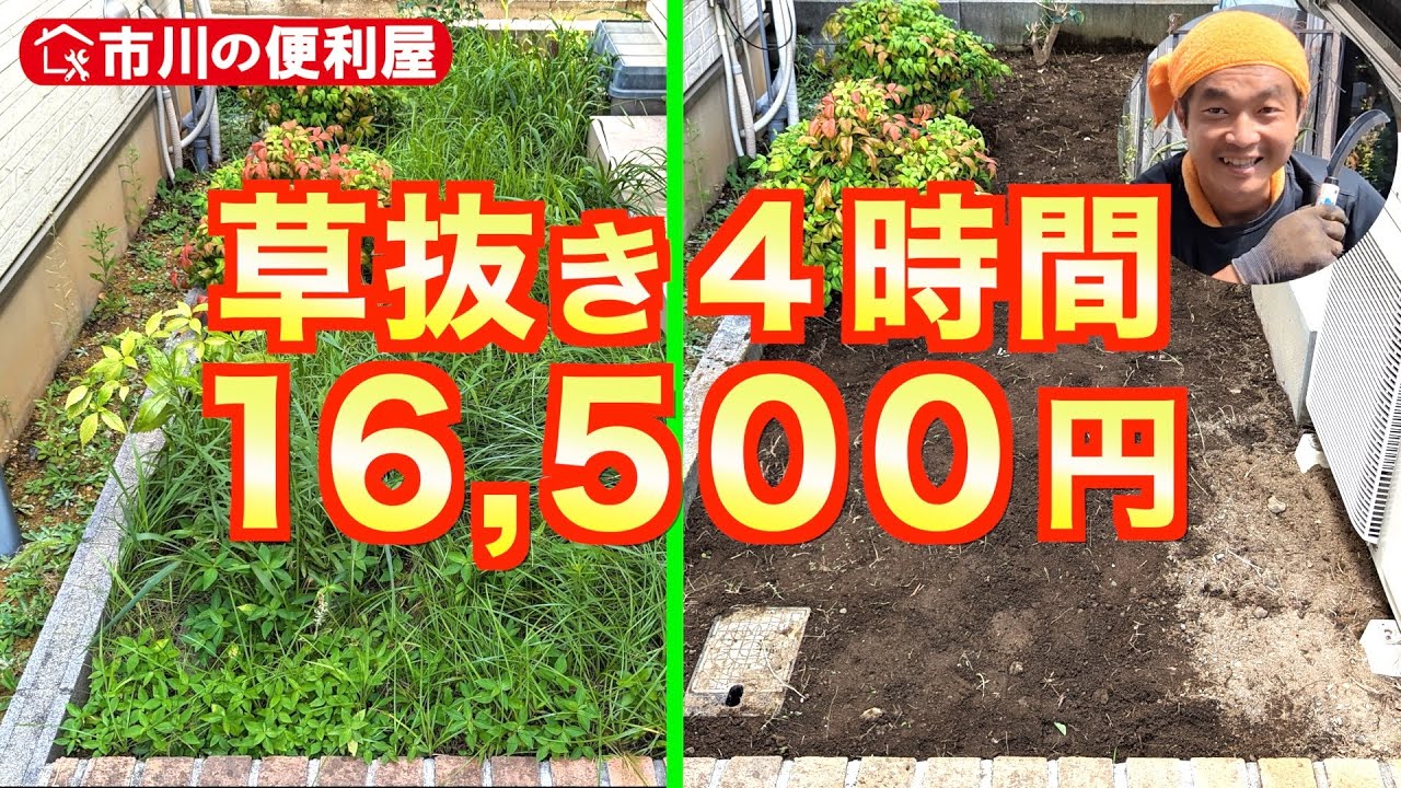 【草抜き１６５００円】２件４時間作業ダイジェスト！市川の便利屋が自転車で駆けつけます！出張エリア：江東、市川、船橋、鎌ケ谷、松戸墨田、江戸川、葛飾、千代田、中央、台東、港区