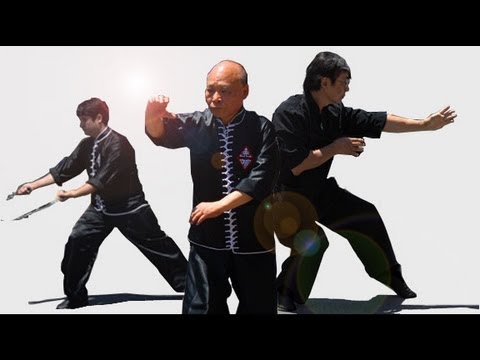 Opening of Tiger Crane Kung Fu - Sifu Kurtis Fujita - Grand Master Yc Wong Lineage