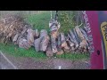 Loading some different wood