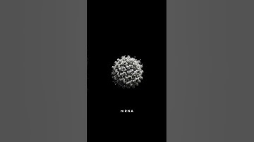 From Micro to Macro: A Journey from Microorganisms to the Universe 🌌🔬#shorts #amazing #visual