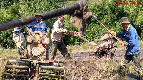 NGÀY ĐI LÀM BỪA RUỘNG || ĐAM TN 82 chia sẻ về cuộc sống ở vùng Cao tây nguyên