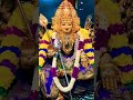 🌿🙏முருகன் துணை🙏🌿 #ஓம் #song#murugan #devotional #tamil #god #dvvilog #shorts #devotionalsong #song